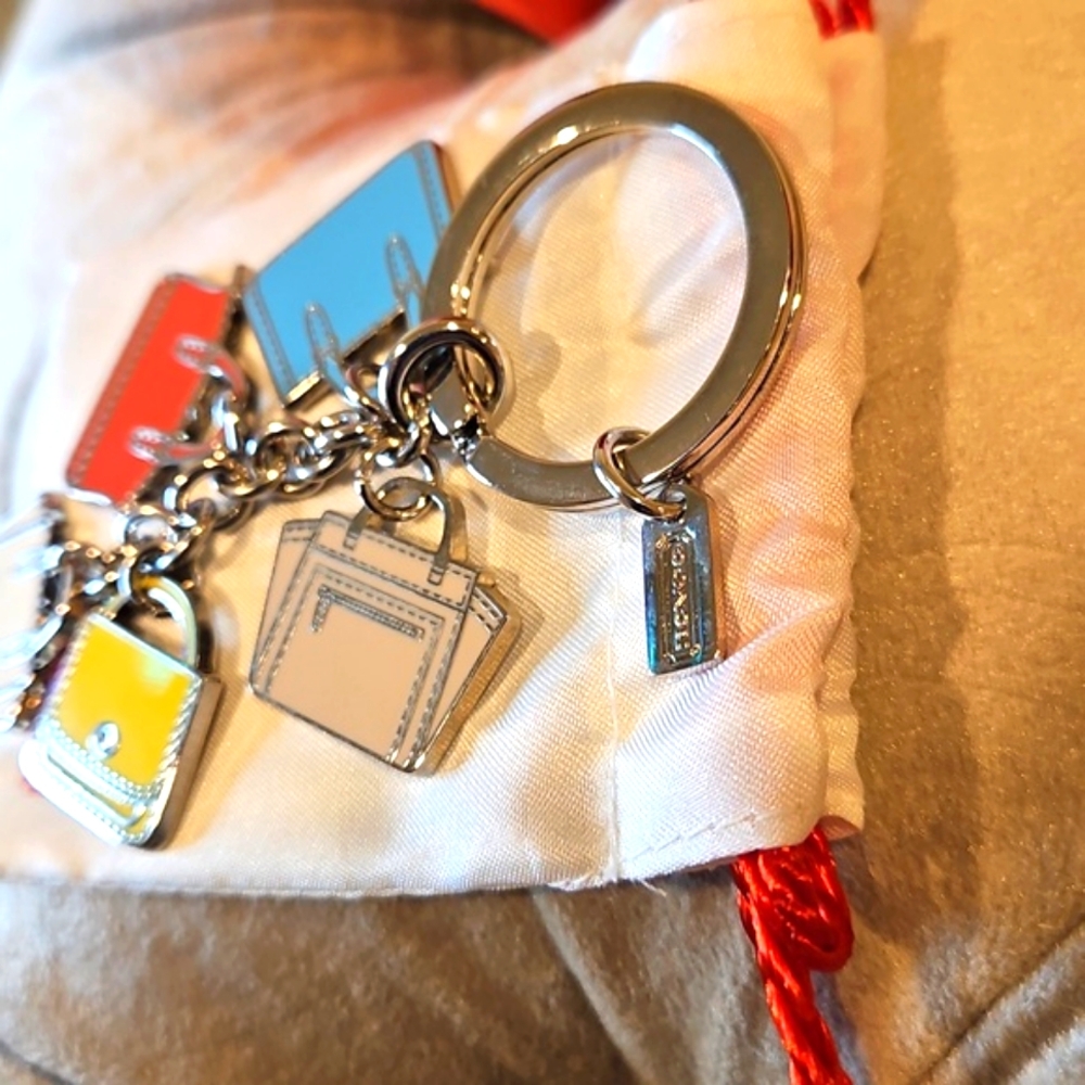 RARE Coach Limited Edition Luggage Travel Bag Charm Keychain Hang Tag - Picture 4 of 6